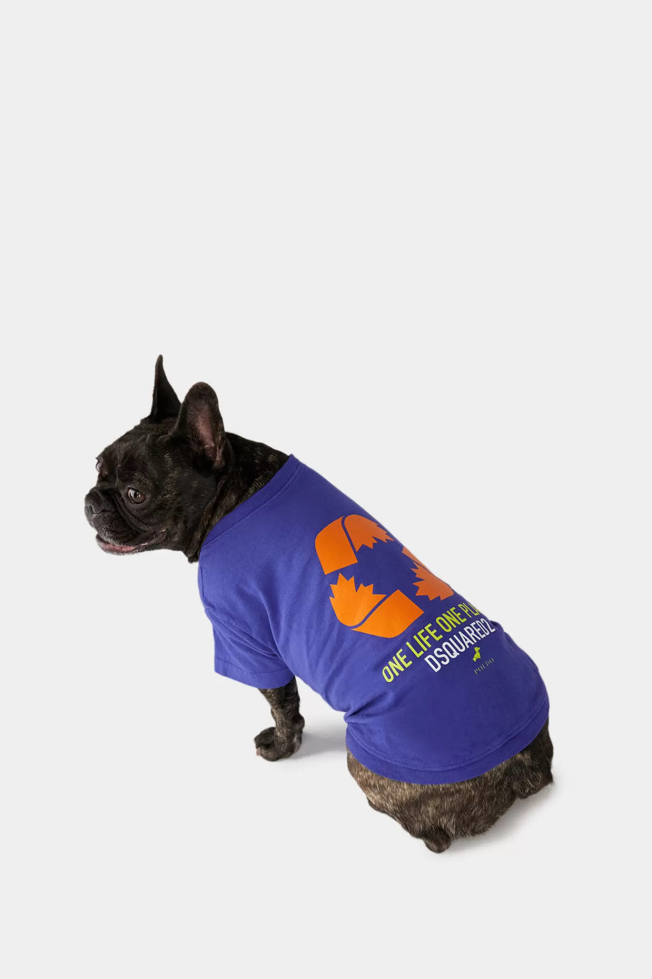 Dsquared2 One Life One Planet Dog T-Shirt<Mujer Pet Collection